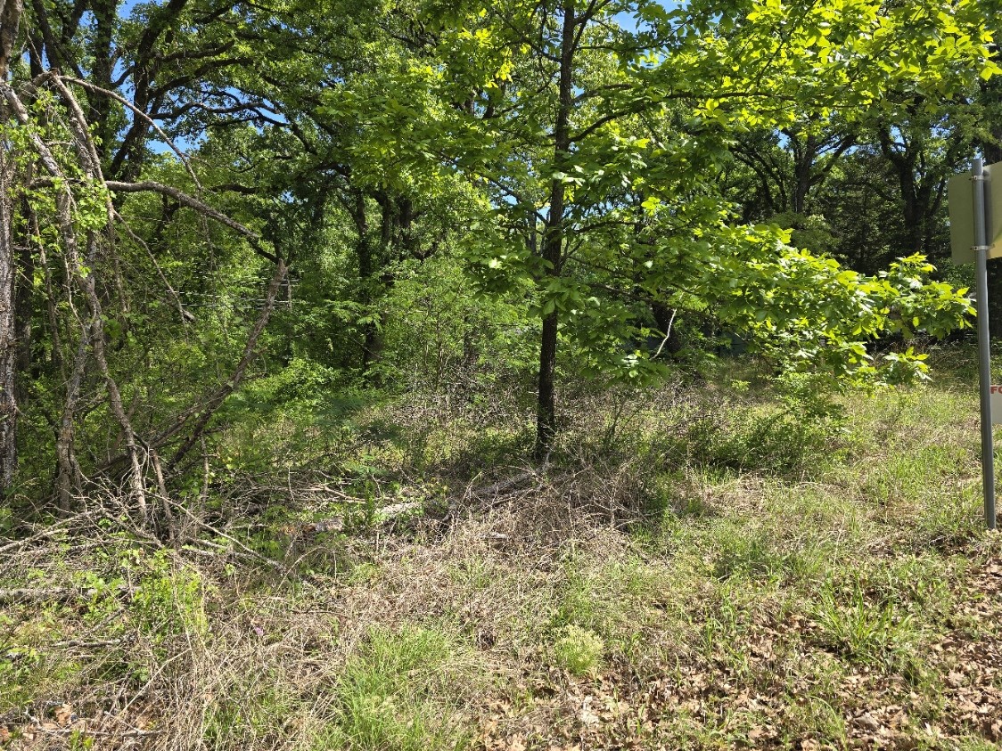 Lot 699 Shady Grove Road Gun Barrel City TX 75156