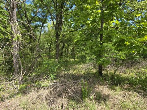 Lot 699 Shady Grove Road Gun Barrel City TX 75156
