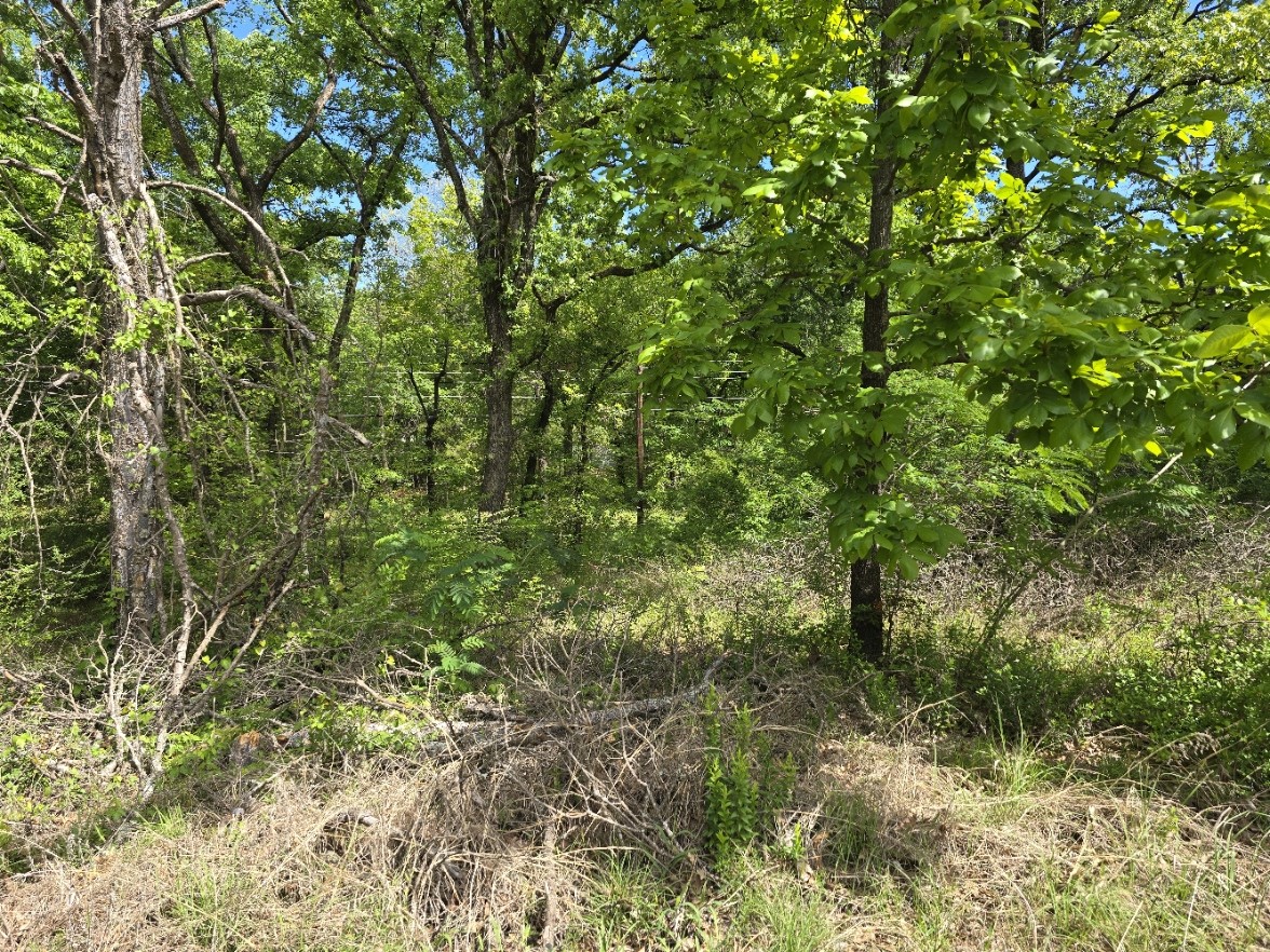 Lot 699 Shady Grove Road Gun Barrel City TX 75156