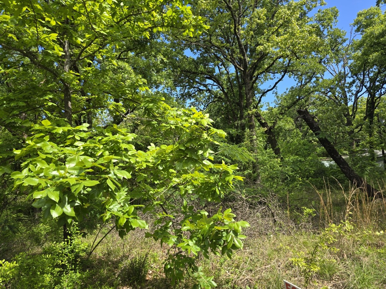 Lot 699 Shady Grove Road Gun Barrel City TX 75156