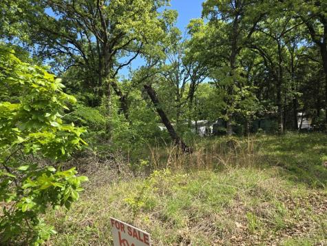 Lot 699 Shady Grove Road Gun Barrel City TX 75156