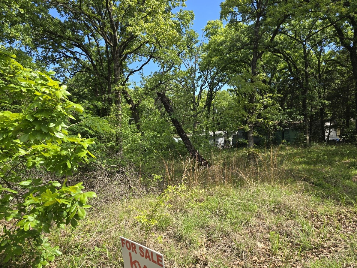 Lot 699 Shady Grove Road Gun Barrel City TX 75156