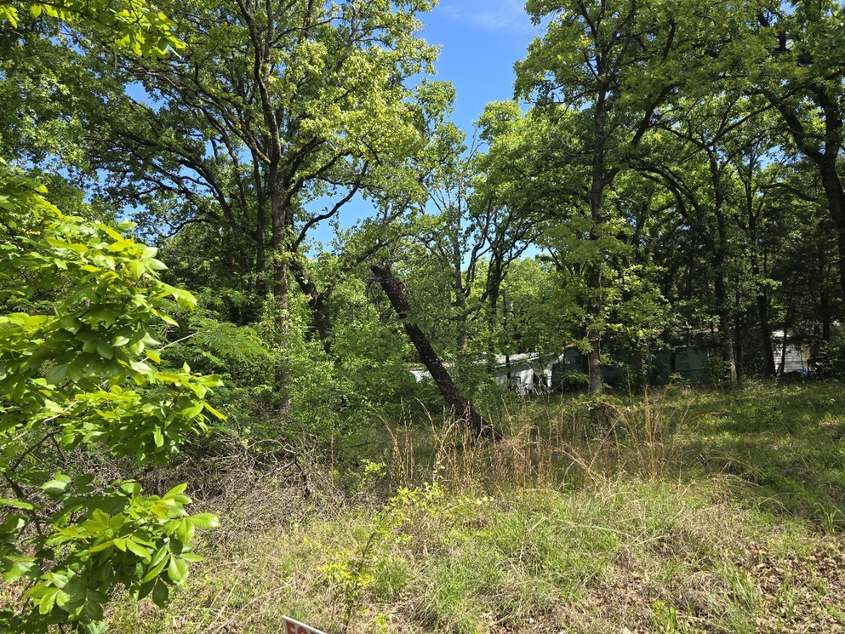 Lot 699 Shady Grove Road Gun Barrel City TX 75156