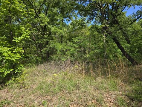 Lot 699 Shady Grove Road Gun Barrel City TX 75156