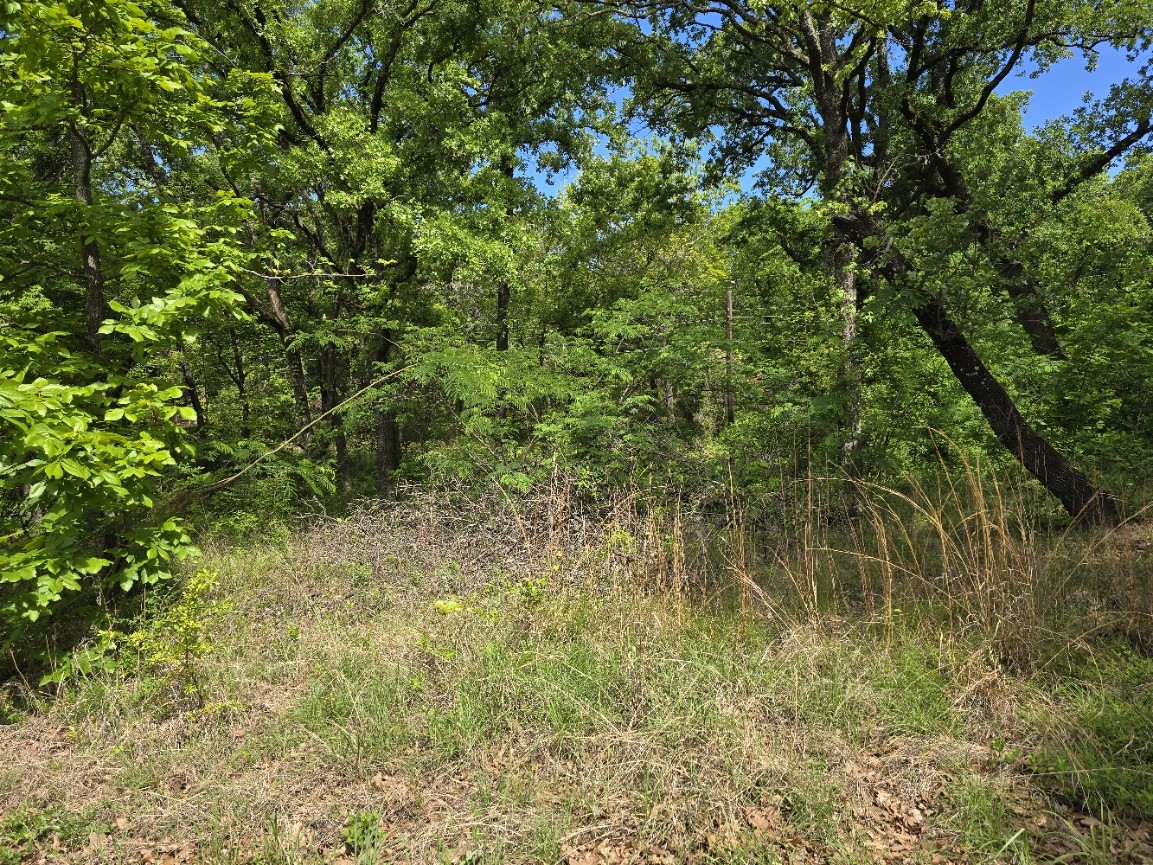 Lot 699 Shady Grove Road Gun Barrel City TX 75156