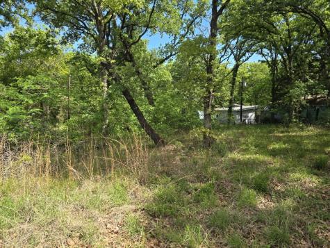 Lot 699 Shady Grove Road Gun Barrel City TX 75156