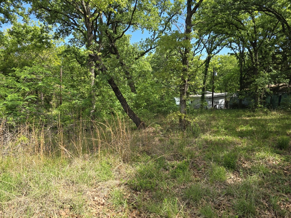 Lot 699 Shady Grove Road Gun Barrel City TX 75156