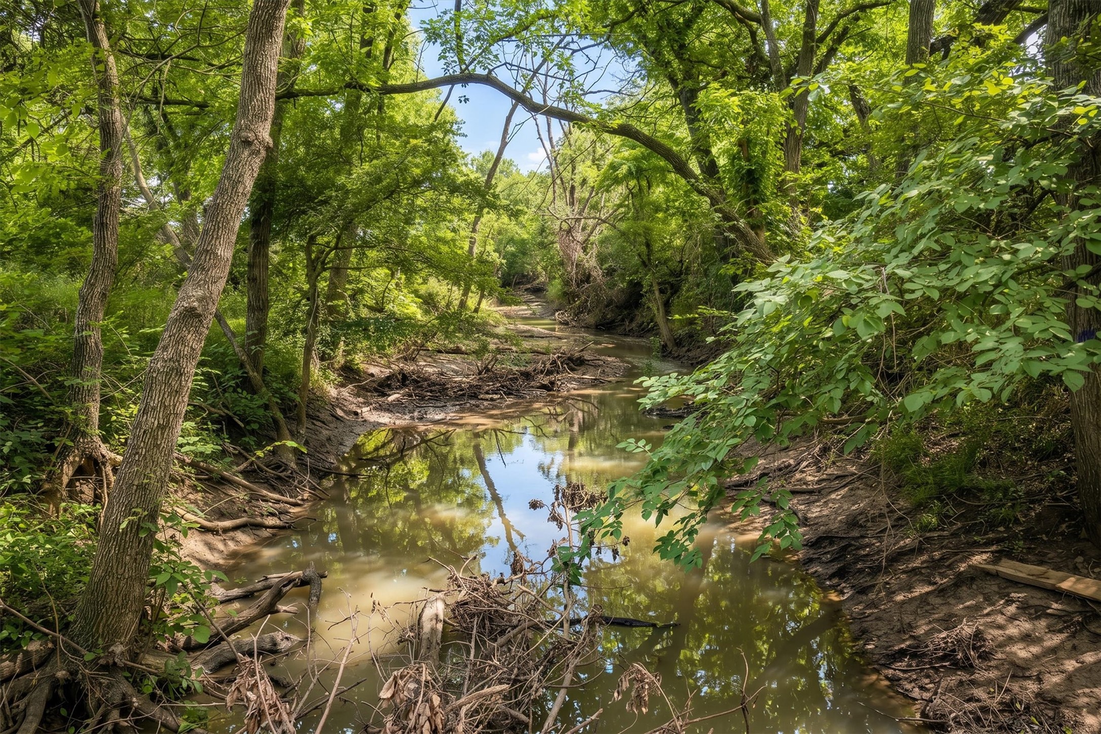 000 County Road 676 Leonard TX 75452