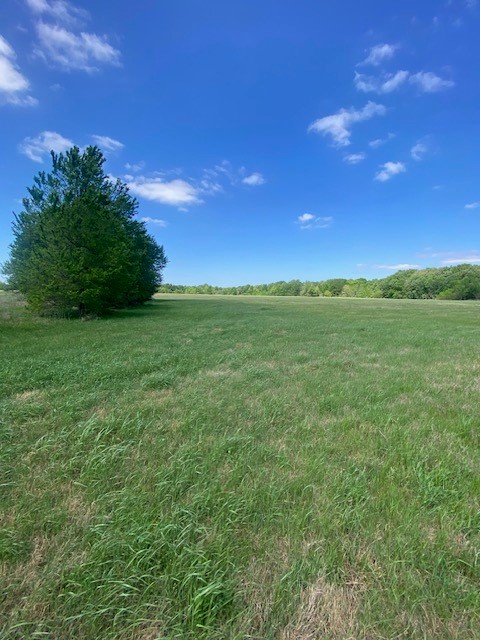 Tbd Cr 408 Lott TX 76656