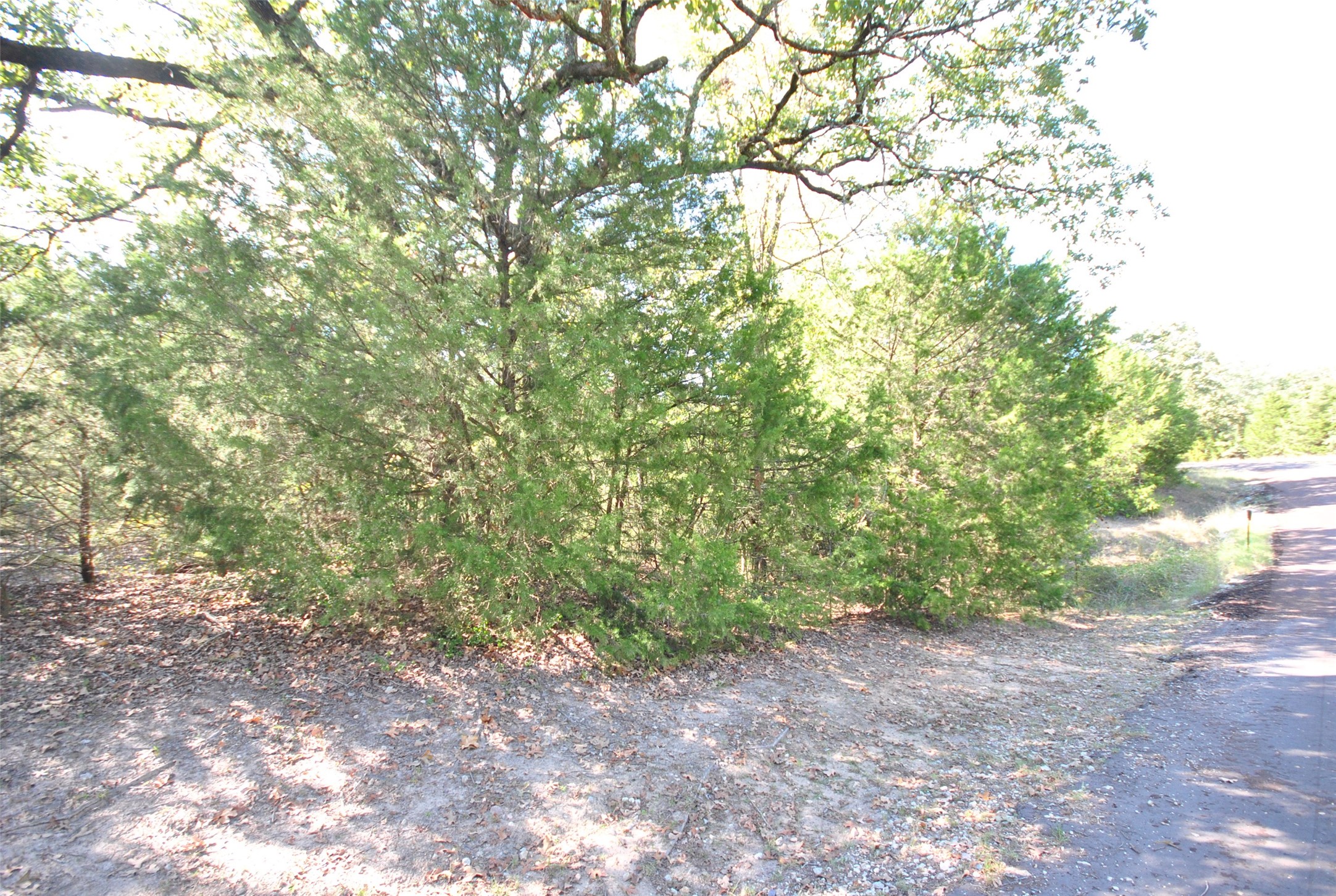 Lot 77 Lcr 894 Drive Jewett TX 75846