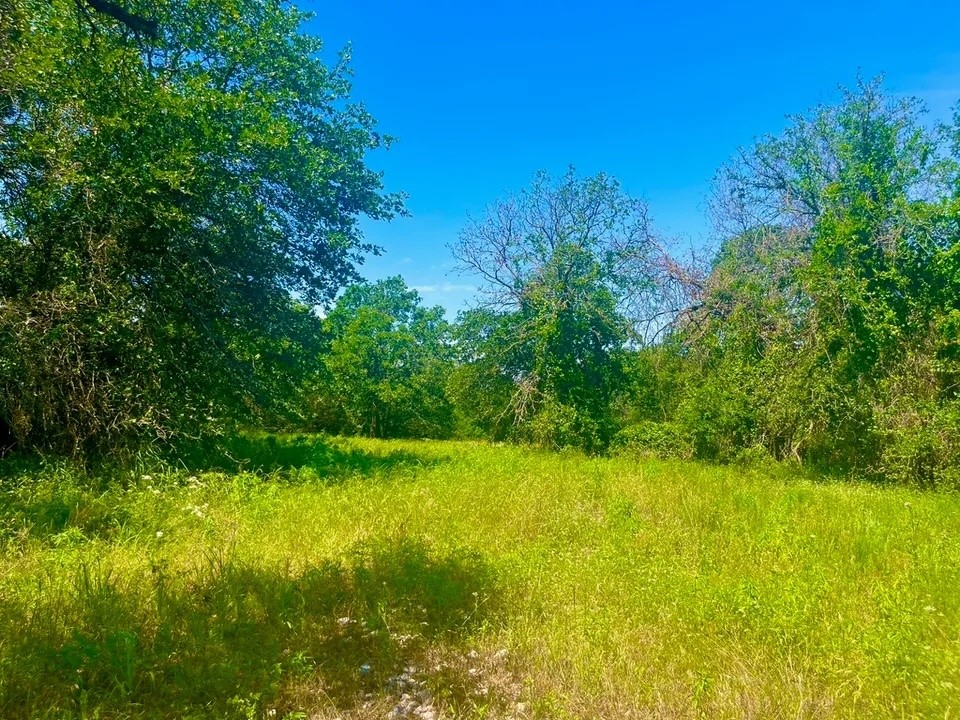 Lot 98 Arlow Road Poolville TX 76487