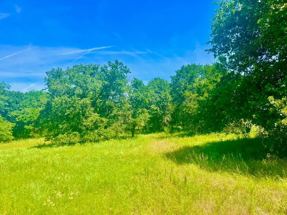 Lot 98 Arlow Road Poolville TX 76487