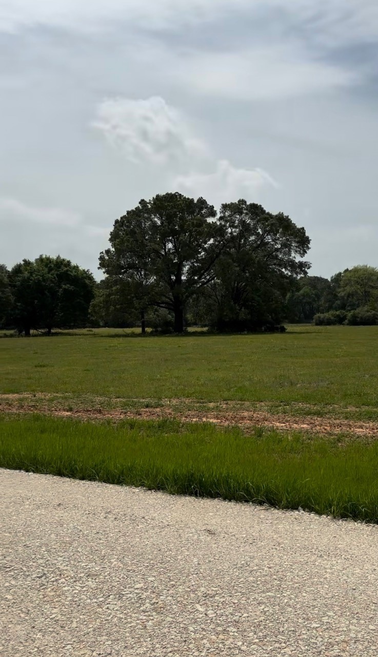 Tbd 15 Fm 1848 Buffalo TX 75831