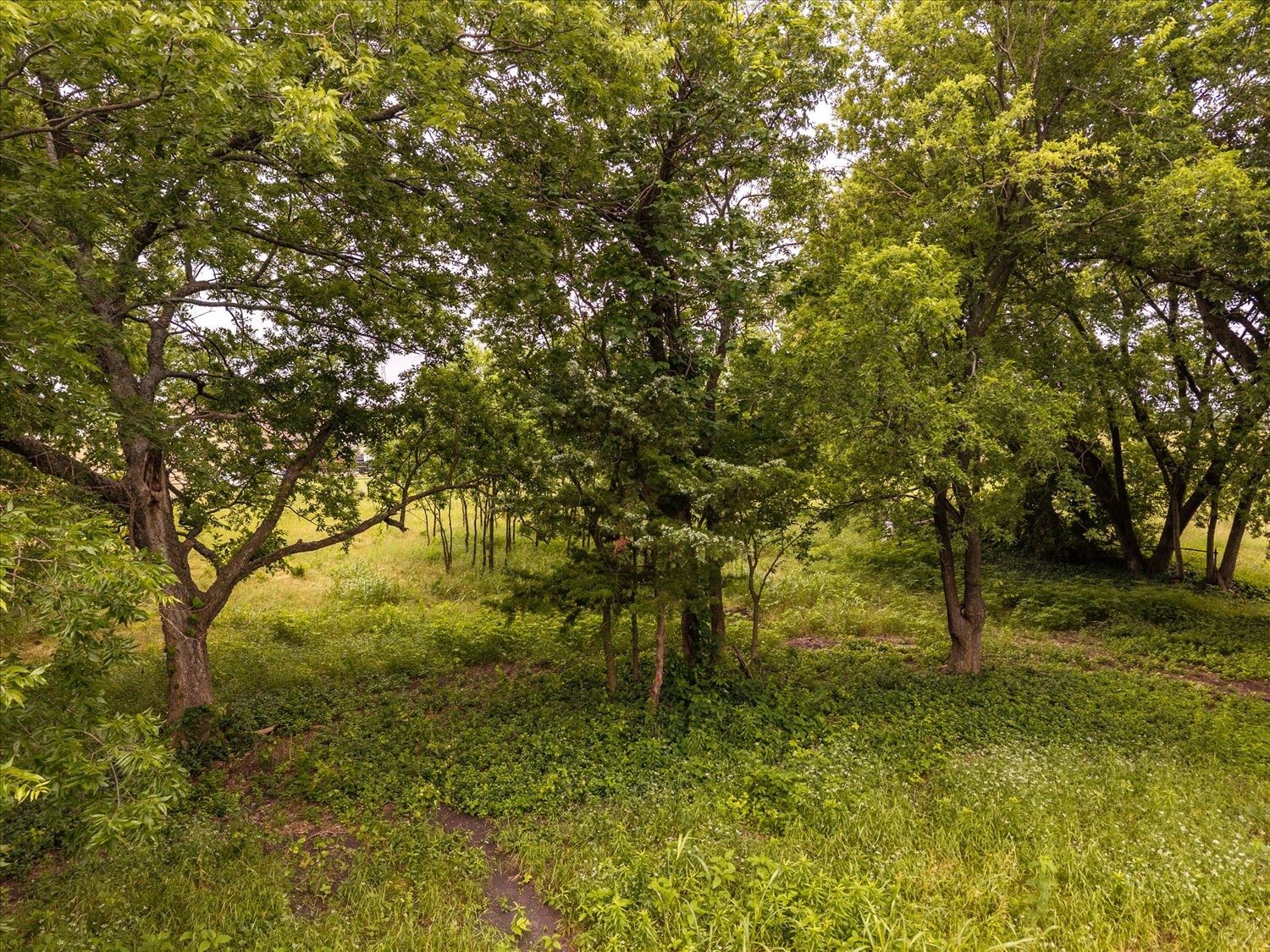 Tbd County Road 1119 Greenville TX 75401