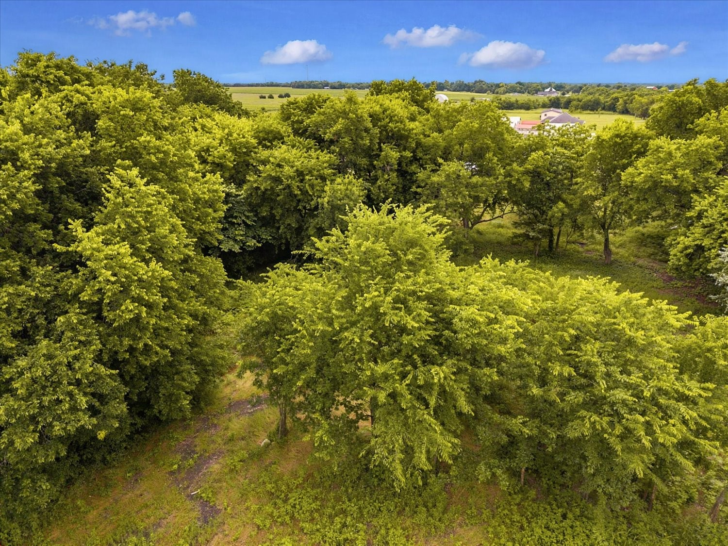 Tbd County Road 1119 Greenville TX 75401
