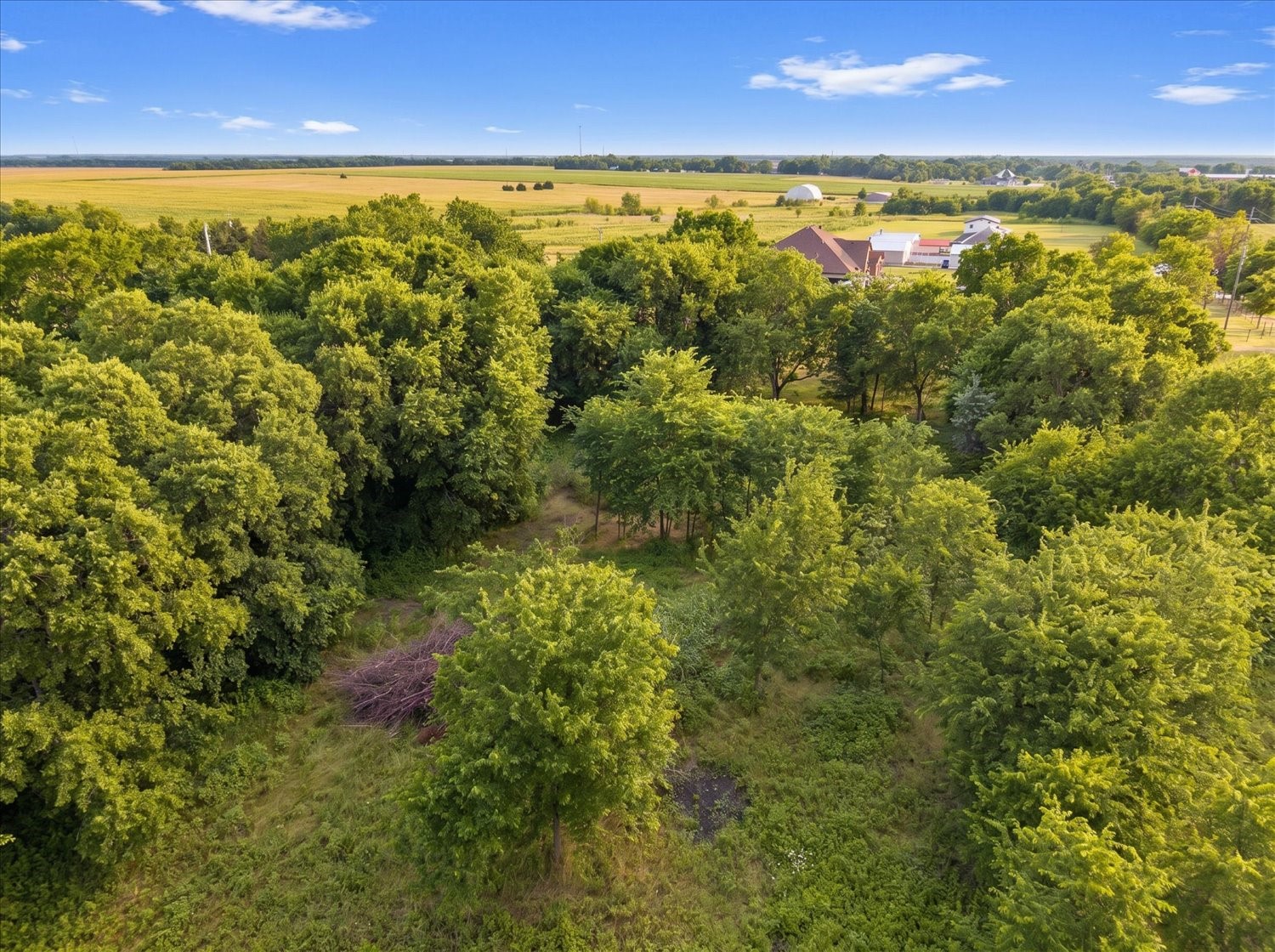Tbd County Road 1119 Greenville TX 75401