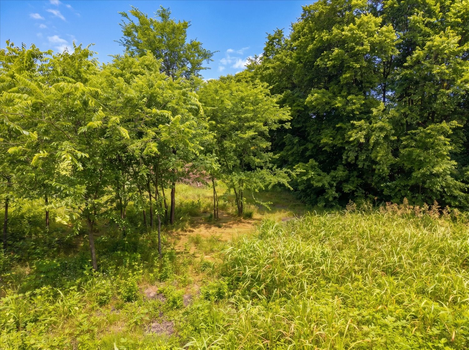 Tbd County Road 1119 Greenville TX 75401