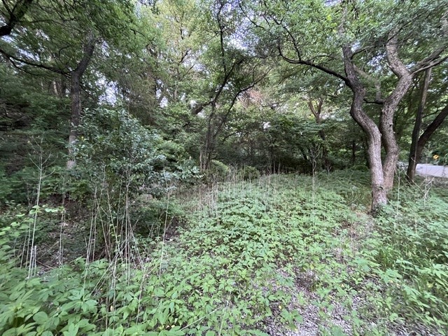 1878 W Belt Line Road Cedar Hill TX 75104