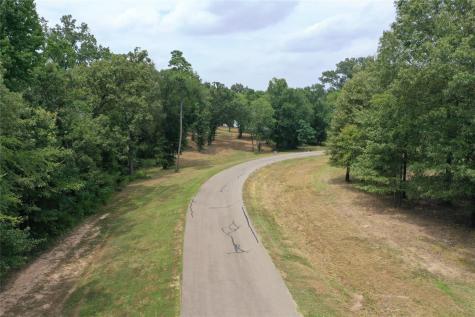 101 Sterling Shores Drive Scroggins TX 75480