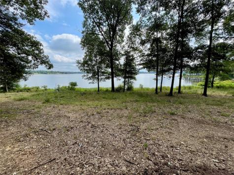 101 Sterling Shores Drive Scroggins TX 75480