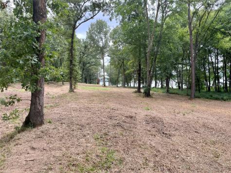 101 Sterling Shores Drive Scroggins TX 75480