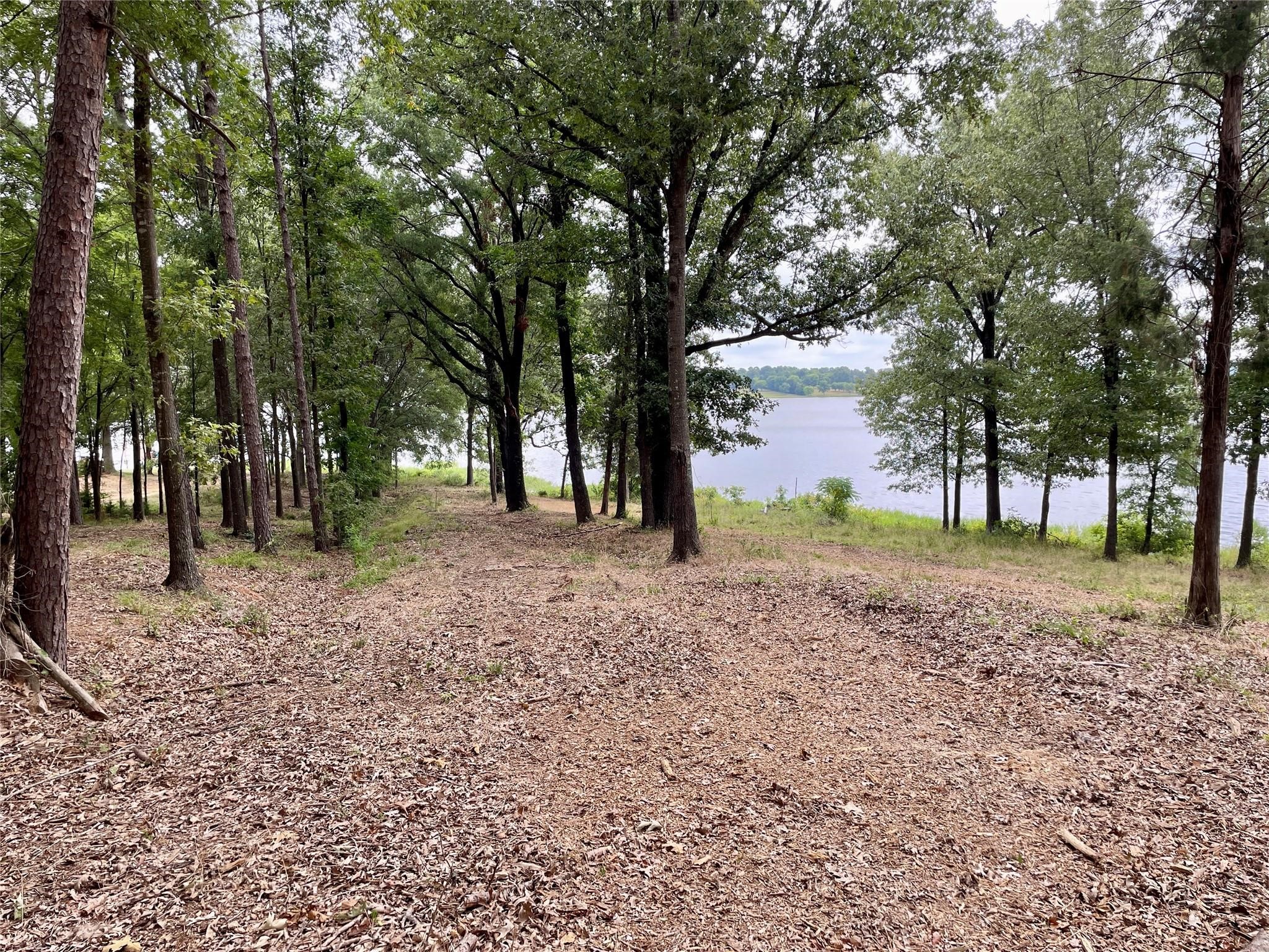 101 Sterling Shores Drive Scroggins TX 75480