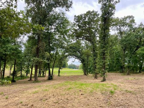 101 Sterling Shores Drive Scroggins TX 75480