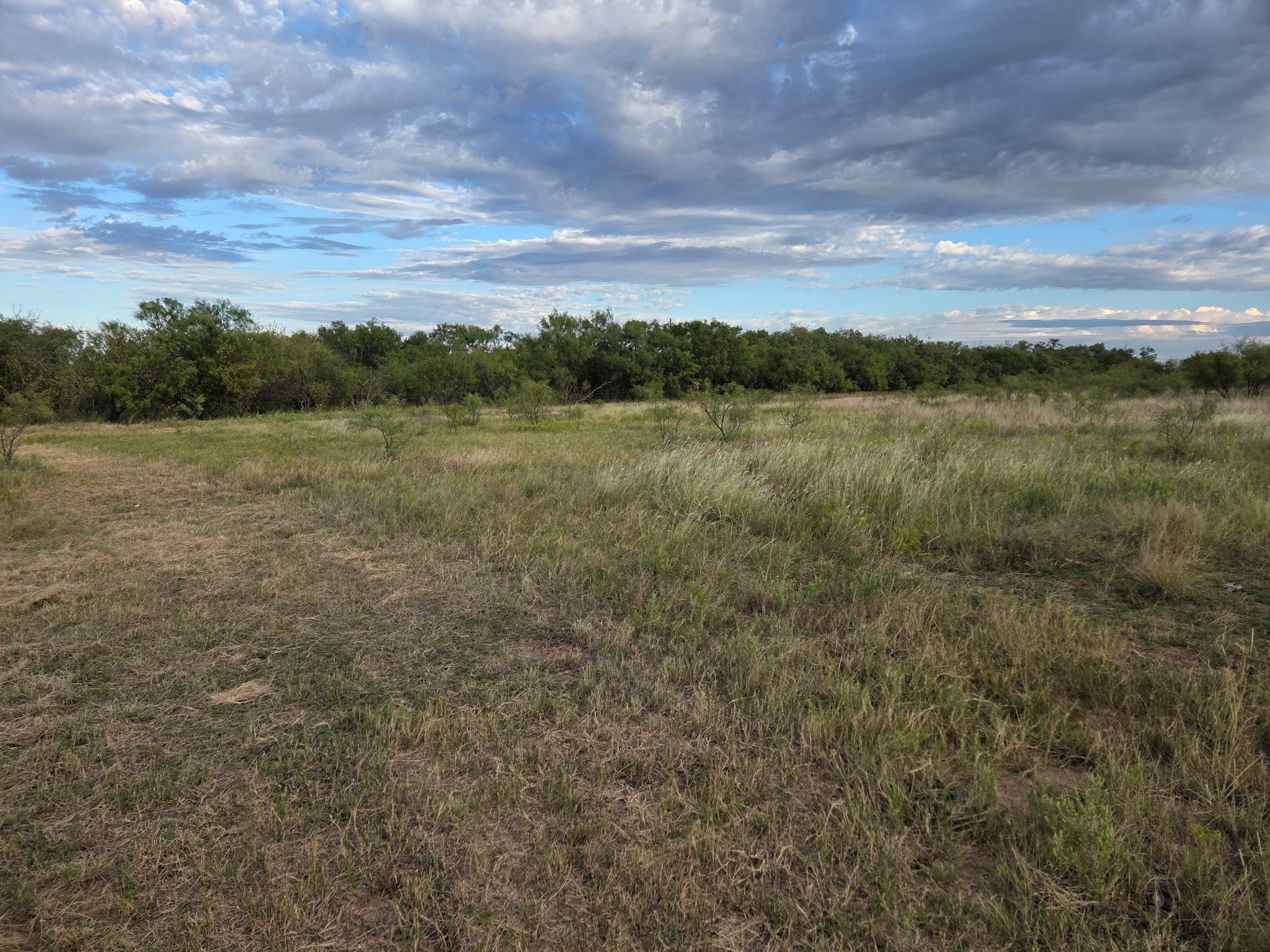 6525 E 180 Anson TX 75901