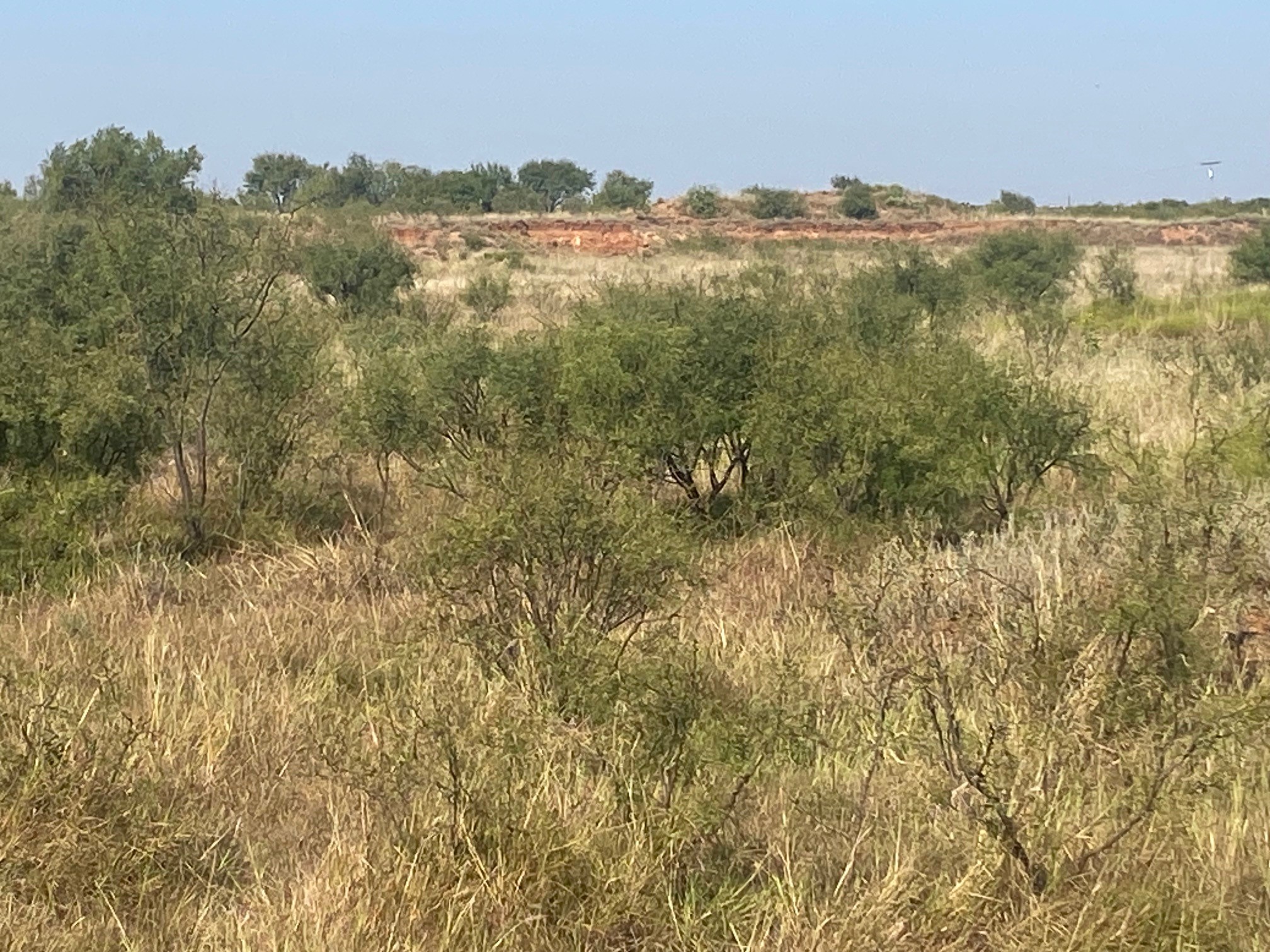 6525 E 180 Anson TX 75901