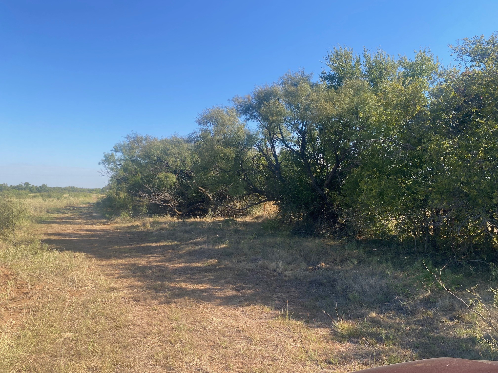 6525 E 180 Anson TX 75901