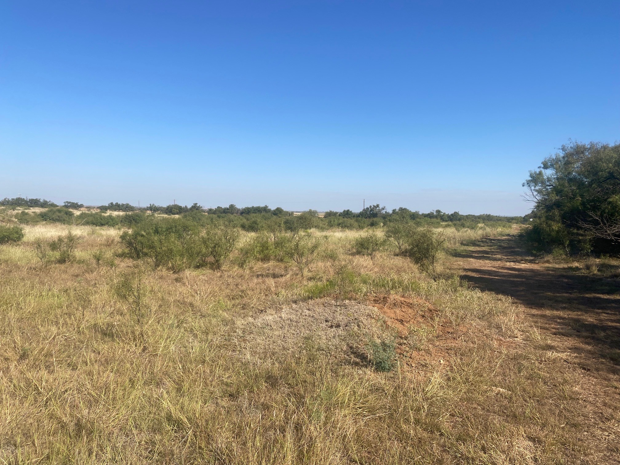 6525 E 180 Anson TX 75901