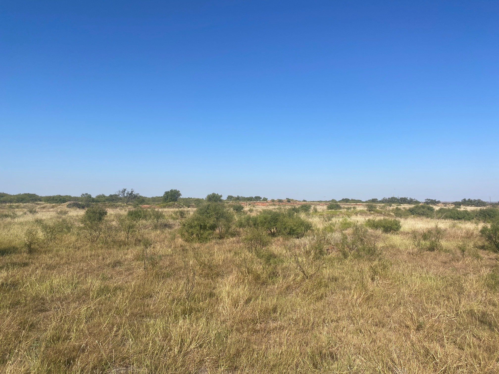 6525 E 180 Anson TX 75901