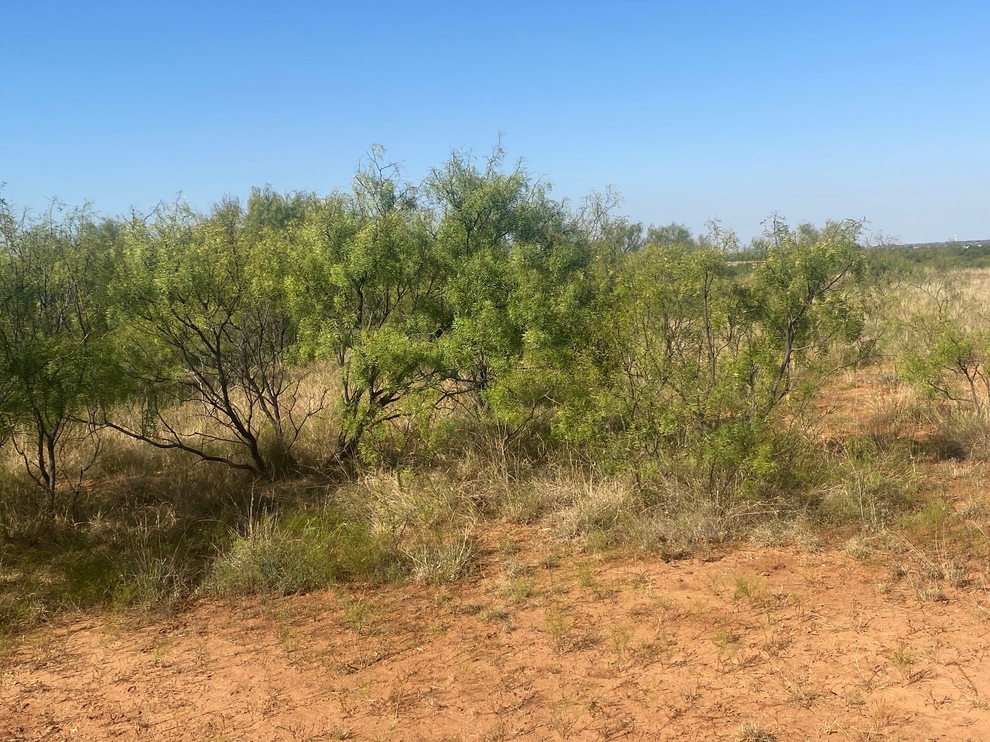 6525 E 180 Anson TX 75901