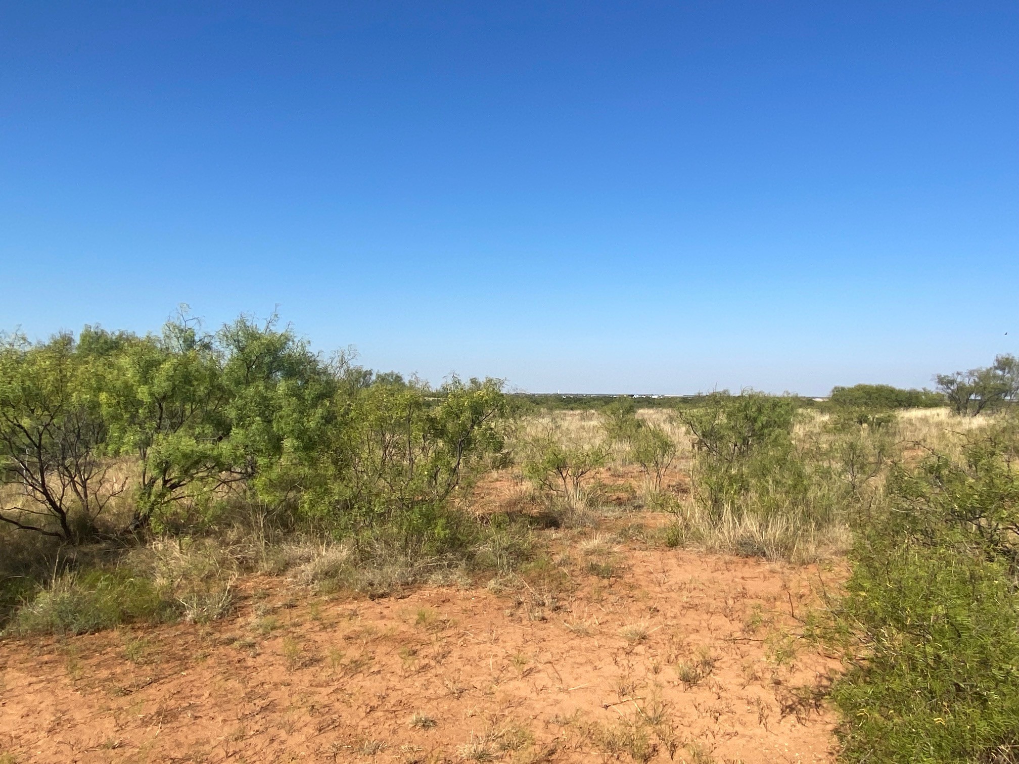 6525 E 180 Anson TX 75901