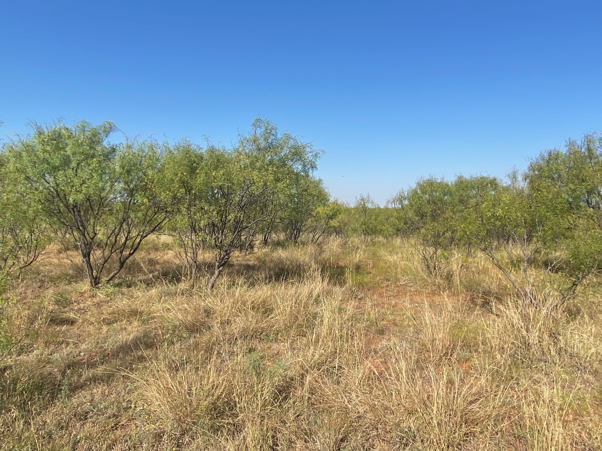 6525 E 180 Anson TX 75901