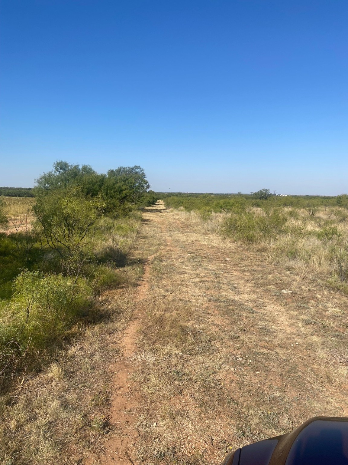 6525 E 180 Anson TX 75901