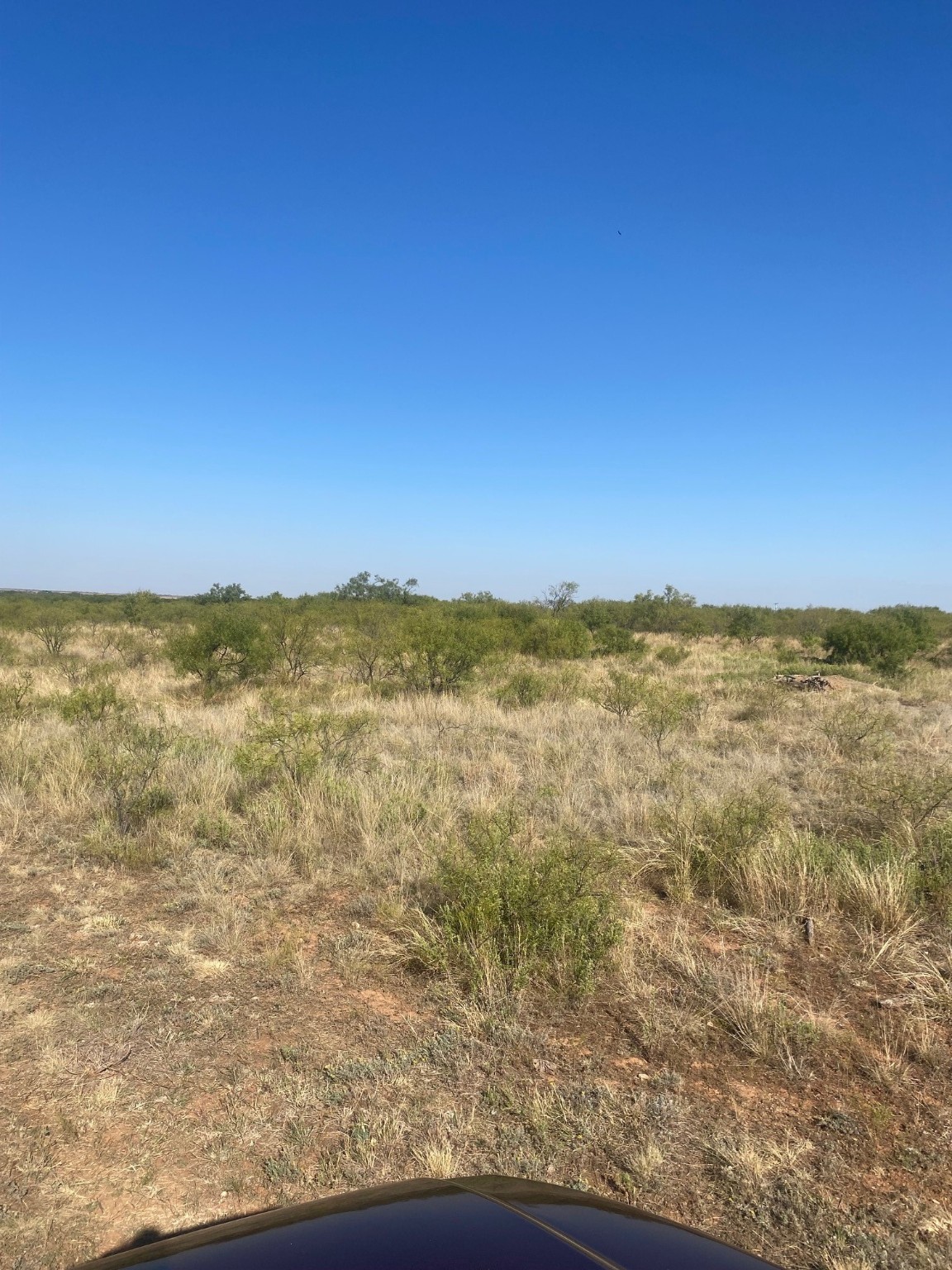 6525 E 180 Anson TX 75901