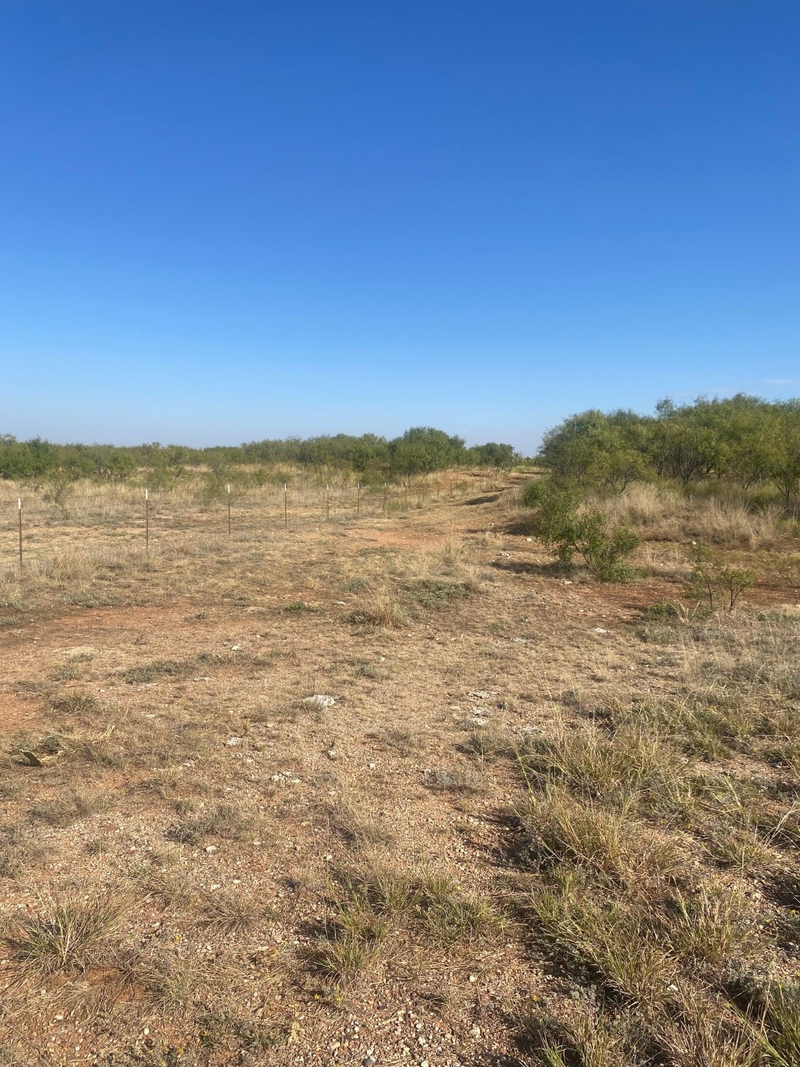 6525 E 180 Anson TX 75901