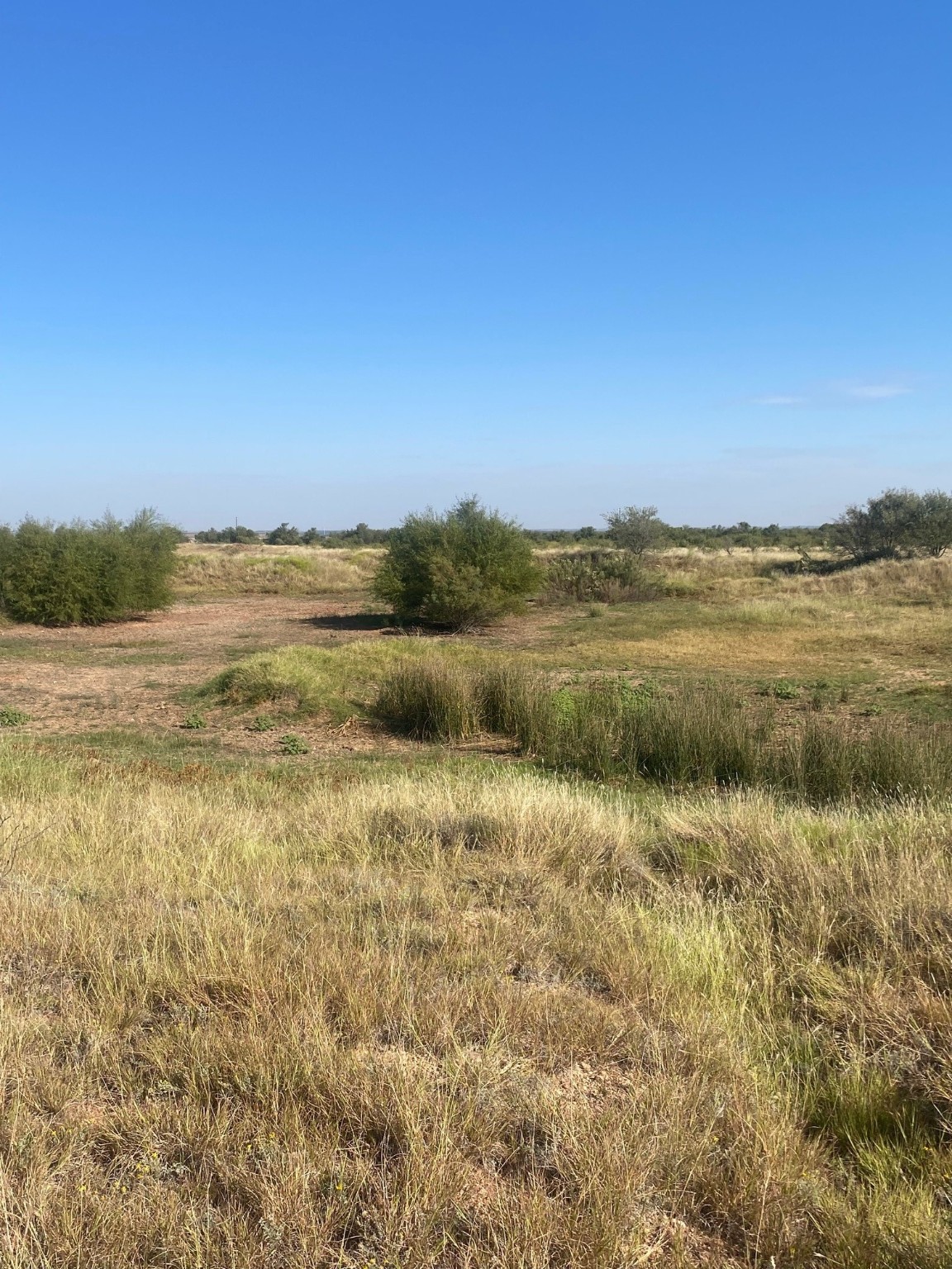 6525 E 180 Anson TX 75901