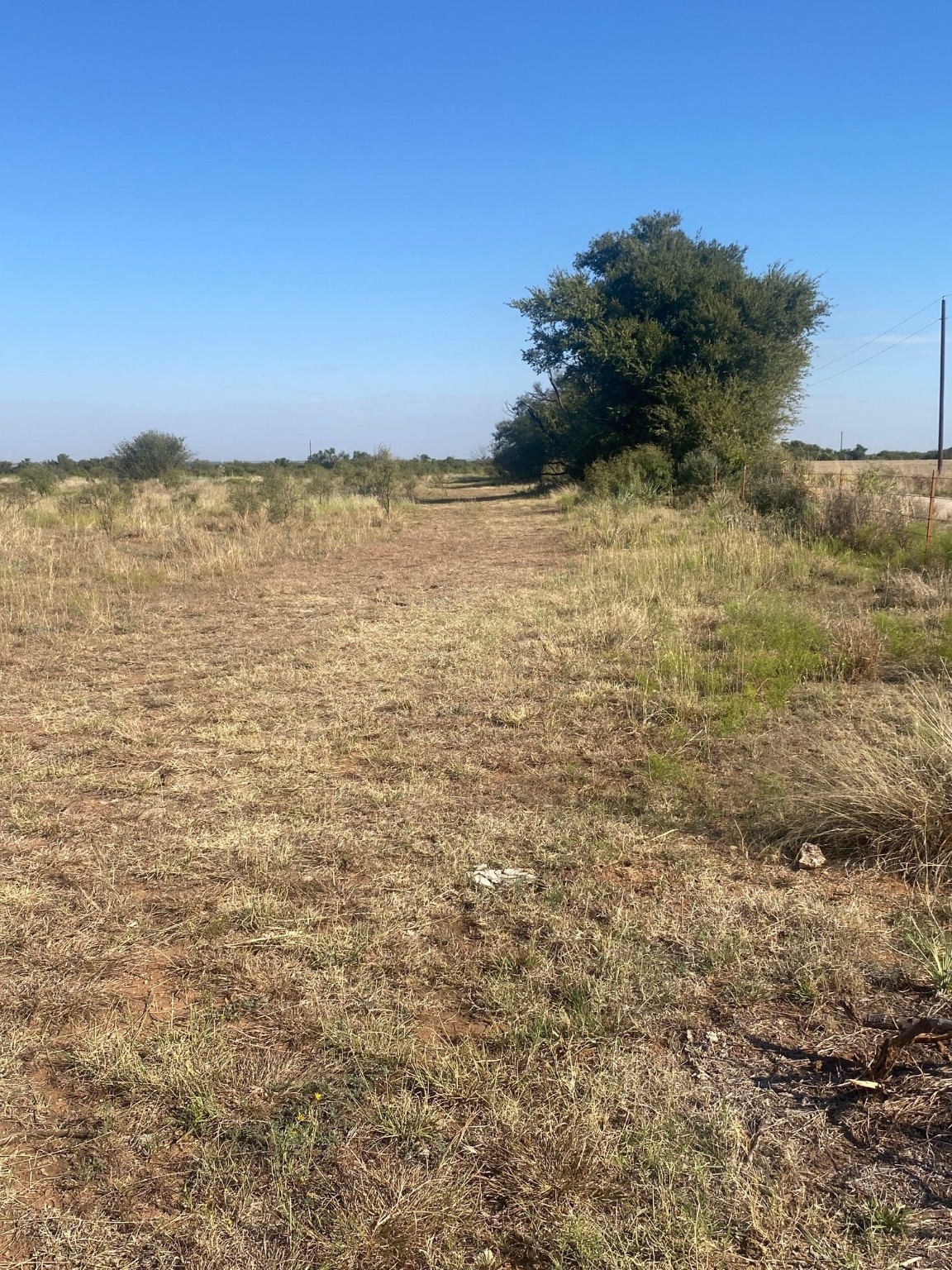 6525 E 180 Anson TX 75901