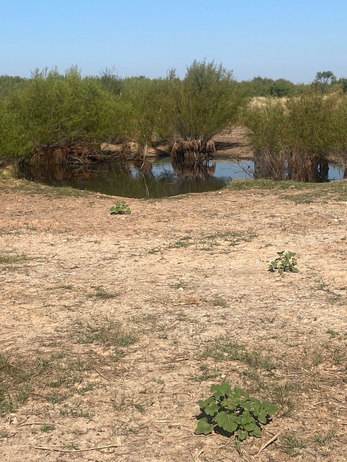6525 E 180 Anson TX 75901