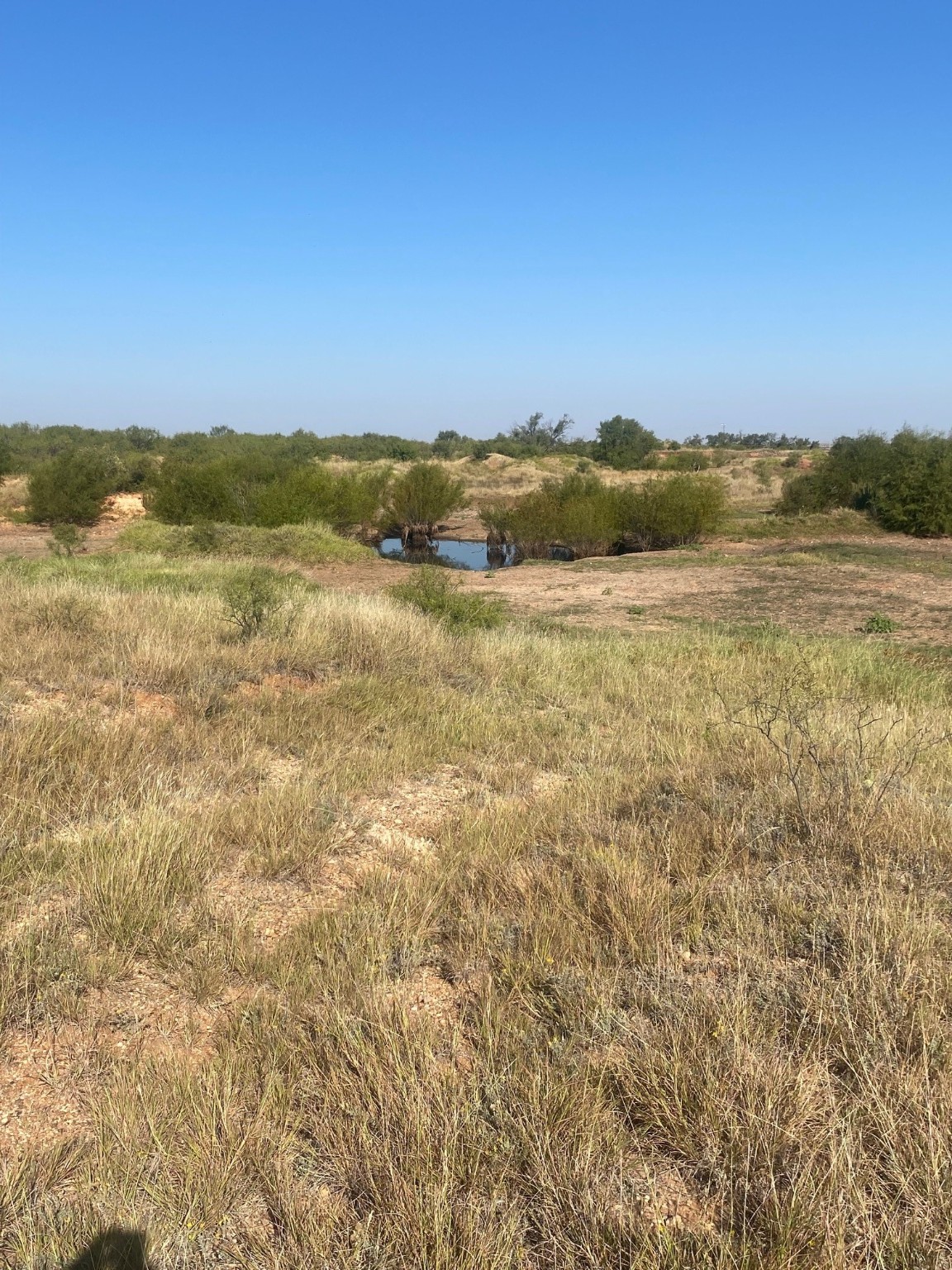 6525 E 180 Anson TX 75901