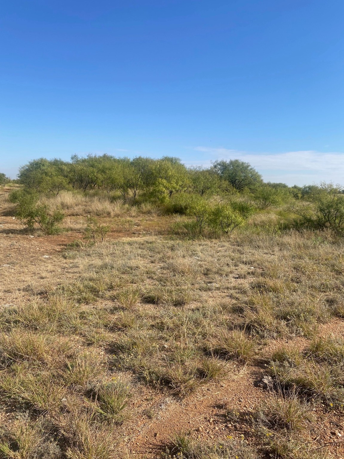 6525 E 180 Anson TX 75901
