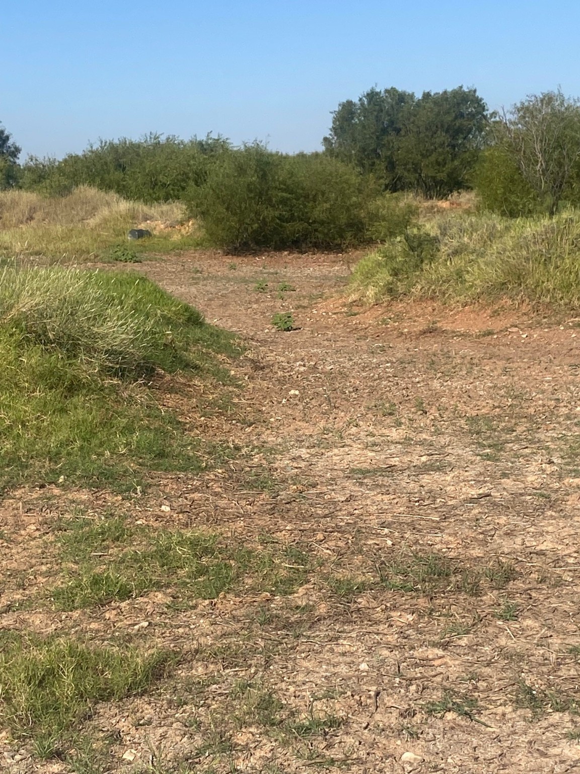 6525 E 180 Anson TX 75901