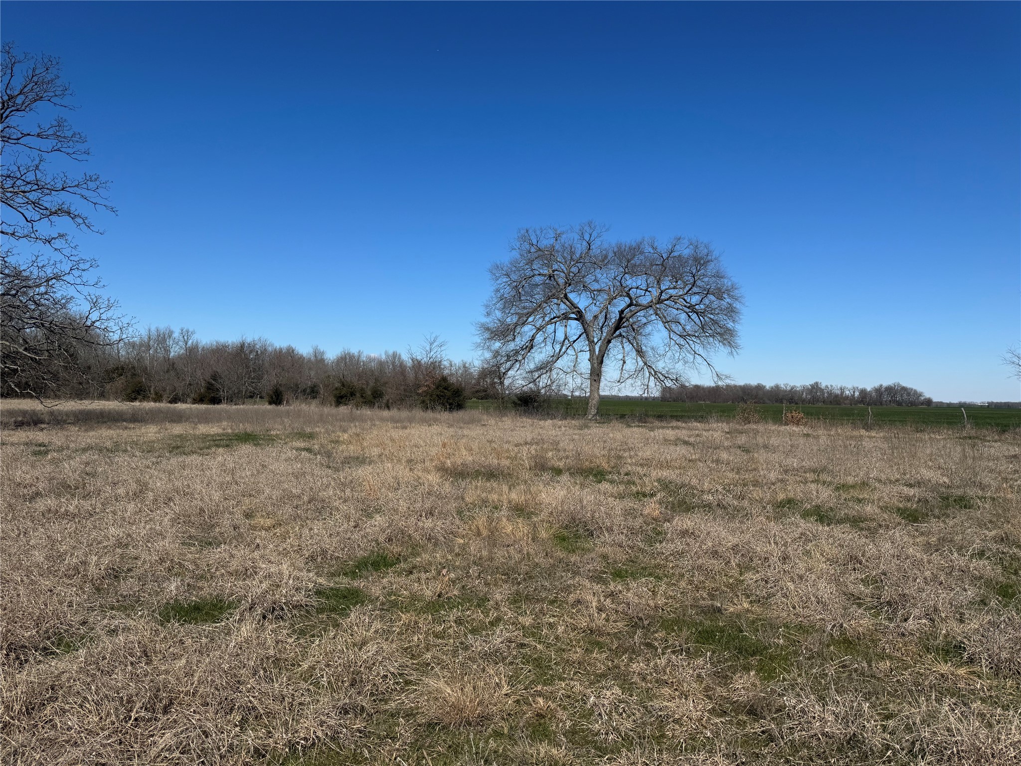 Lot 7 Ranches At Quail Hollow Paris TX 75462