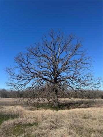 Lot 7 Ranches At Quail Hollow Paris TX 75462