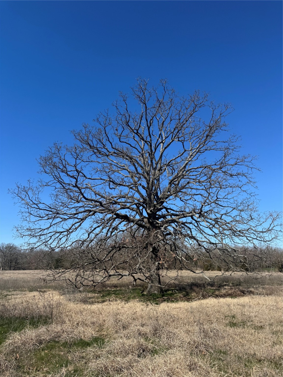 Lot 7 Ranches At Quail Hollow Paris TX 75462