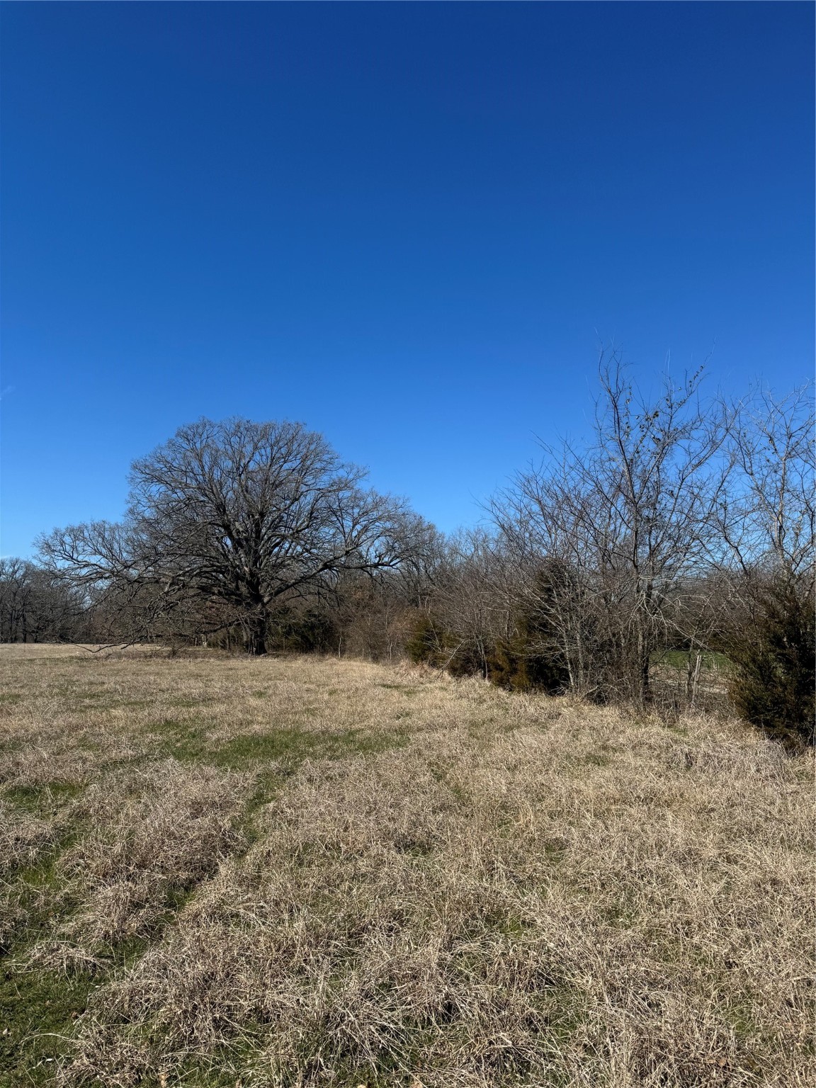 Lot 7 Ranches At Quail Hollow Paris TX 75462