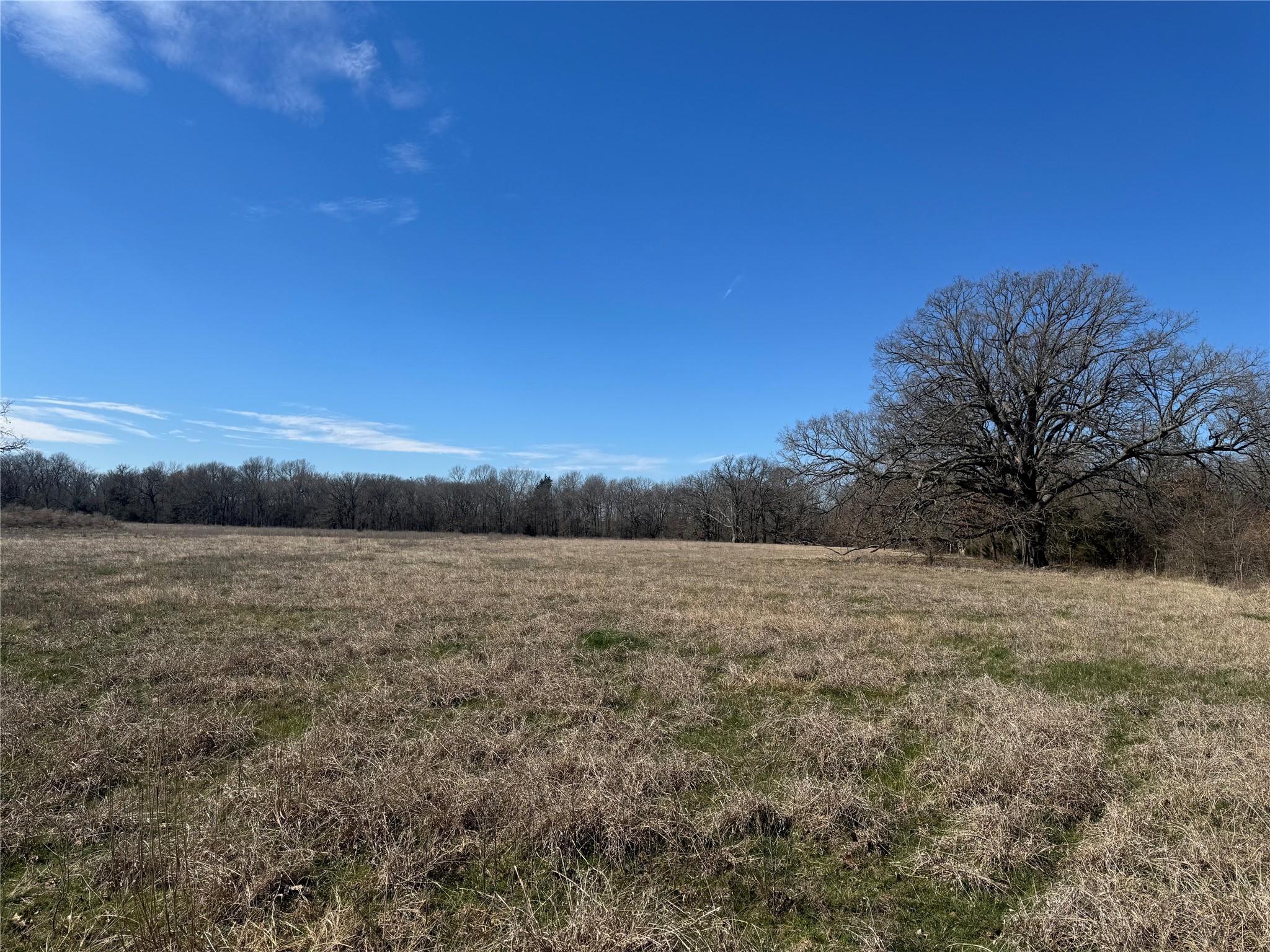 Lot 7 Ranches At Quail Hollow Paris TX 75462