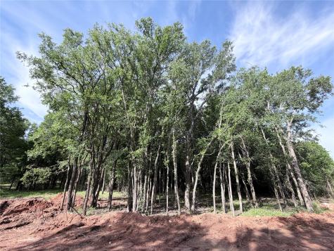 Lot 15 Lakewood Drive Whitney TX 76692
